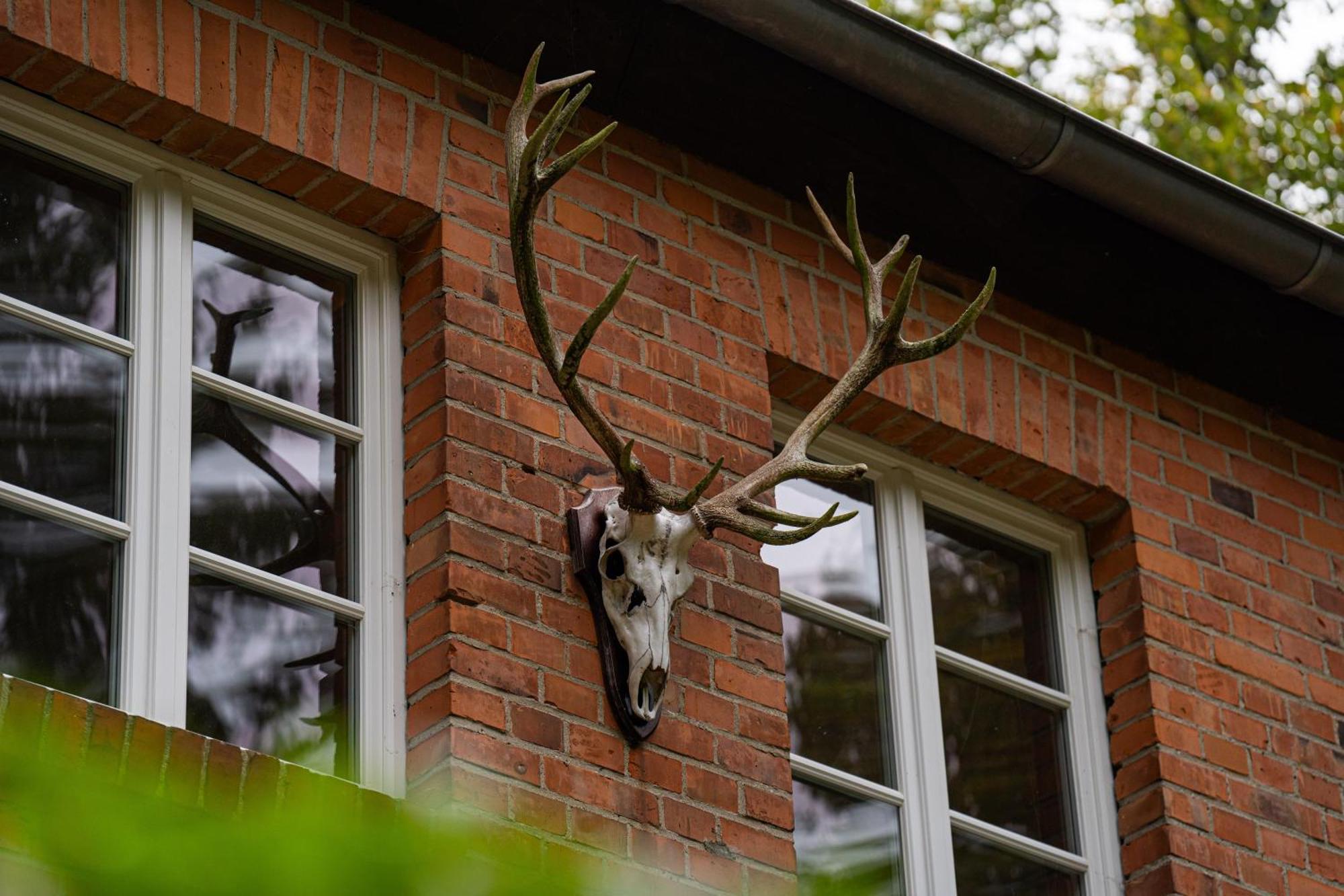 Wald- Und Seeidyll Im Historischen Forsthaus Neuruppin Eksteriør bilde